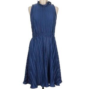 DKNY Blue Pleated Ruffle Neck Dress